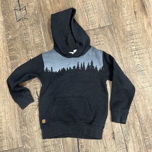 Boys Size 5T Ten Tree Hoodie
